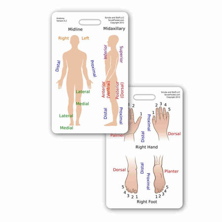 Code 1 Supply Anatomical Directions Badge Card - VERTICAL